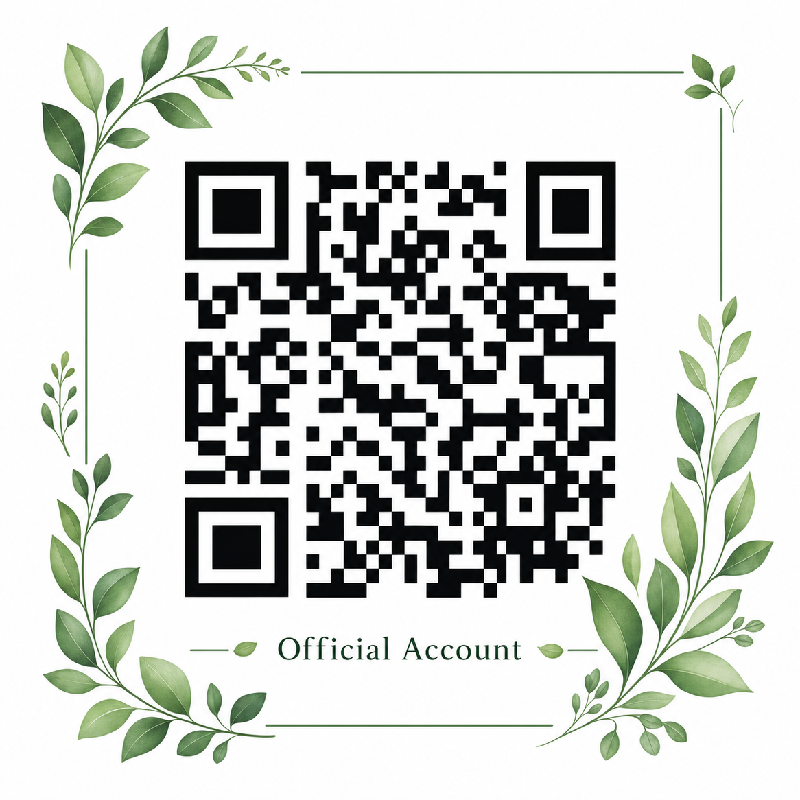 网红主播公众号二维码
